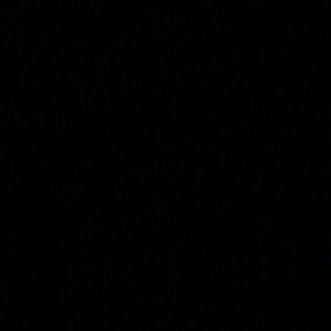 Meet your Posher, Elise